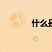 什么是打荷（什么是打底裙）