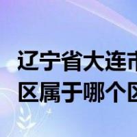 辽宁省大连市高新区原来叫什么区（大连高新区属于哪个区）