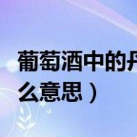 葡萄酒中的丹宁是什么意思（葡萄酒丹宁是什么意思）