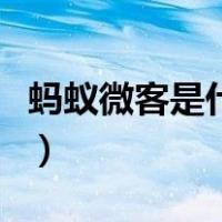 蚂蚁微客是什么工作呢（蚂蚁微客是什么任务）