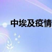 中埃及疫情最新动向（za解压器怎么用）