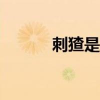 刺猹是啥意思（刺猹是什么梗）