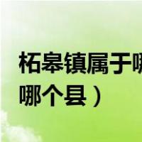 柘皋镇属于哪个市哪个县（柘皋镇属于哪个市哪个县）