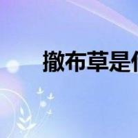 撤布草是什么意思（cbc是什么意思）