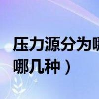 压力源分为哪几种躯体性压力源（压力源分为哪几种）