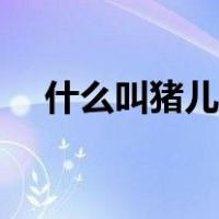 什么叫猪儿虫（猪虫儿形容人什么意思）