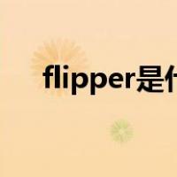 flipper是什么牌子（flipper是哪种人）