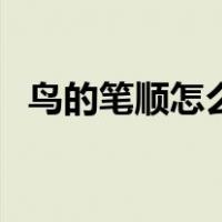 鸟的笔顺怎么写田字格（鸟的笔顺怎么写）