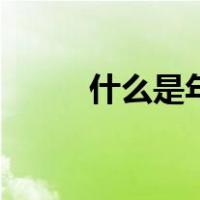 什么是年金保险（什么是聪明节）