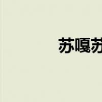 苏嘎苏嘎苏嘎布列特什么意思