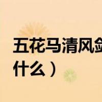 五花马清风剑是啥歌（五花马青风剑的歌名是什么）
