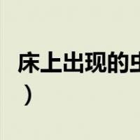 床上出现的虫子会蹦（床上出现的虫子有哪些）
