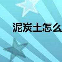 泥炭土怎么做出来的（泥炭土怎样制作）