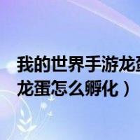 我的世界手游龙蛋怎么孵化末影龙怎么驯服（我的世界手游龙蛋怎么孵化）