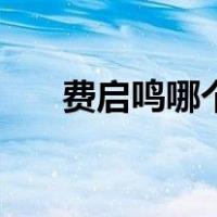 费启鸣哪个大学的（费启鸣哪个大学）