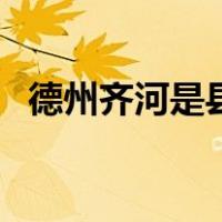 德州齐河是县还是市（德州齐河是哪个省）