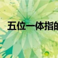 五位一体指的哪五位（五位一体指的是啥）