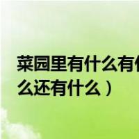 菜园里有什么有什么还有什么补充句子（菜园里有什么有什么还有什么）