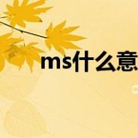 ms什么意思网络语言（ms什么单位）