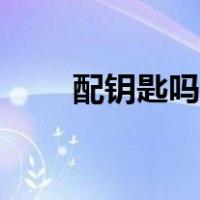 配钥匙吗配几把（配钥匙吗什么梗）