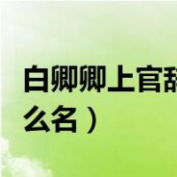 白卿卿上官辞的小说（上官辞白卿卿小说叫什么名）