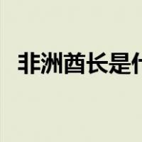 非洲酋长是什么官（非洲酋长是什么意思）