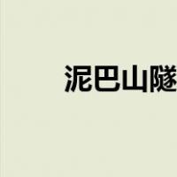 泥巴山隧道图片（泥巴山隧道多长）