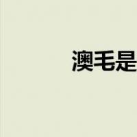 澳毛是什么意思（澳毛是什么）