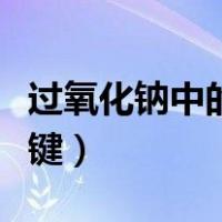 过氧化钠中的键（过氧化钠电子式中含有什么键）