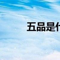 五品是什么礼物（五品是什么官）
