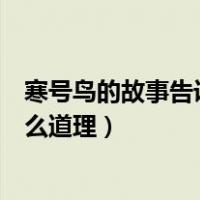 寒号鸟的故事告诉我们什么道理（寒号鸟的故事告诉我们什么道理）