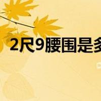 2尺9腰围是多少码（2尺9腰围是多少厘米）