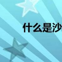 什么是沙盘推演（什么是沙鲁游戏）