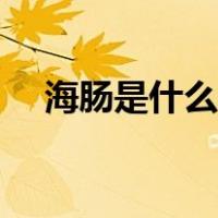 海肠是什么样的东西（海肠是什么动物）