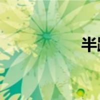 半跑马拉松是多少公里