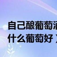 自己酿葡萄酒用什么瓶子装（自己酿葡萄酒用什么葡萄好）