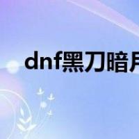 dnf黑刀暗月图片（dnf黑刀暗月怎么得）