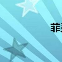 菲灵是哪个国家的品牌