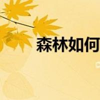 森林如何联机教程（森林如何联机）