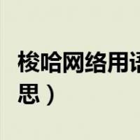 梭哈网络用语是什么意思（梭哈网络用语啥意思）
