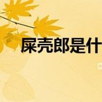 屎壳郎是什么中药（屎壳郎是什么动物）