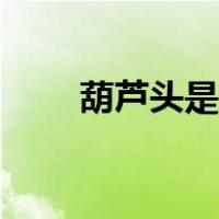 葫芦头是什么意思（葫芦头是什么）