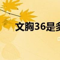 文胸36是多大杯（文胸36是多少尺码）