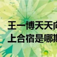 王一博天天向上合宿是哪一期（王一博天天向上合宿是哪期）