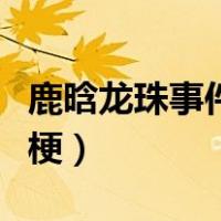 鹿晗龙珠事件是什么（鹿晗七龙珠事件是什么梗）