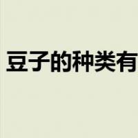 豆子的种类有哪些图片（豆子的种类有哪些）