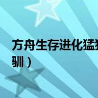 方舟生存进化猛犸象咋扩大平台（方舟生存进化猛犸象怎么驯）