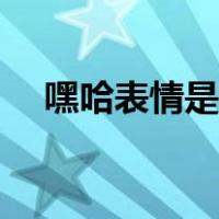 嘿哈表情是什么（嘿哈表情是什么意思）