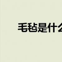 毛毡是什么东西啊（毛毡是什么东西）