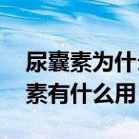 尿囊素为什么叫尿囊素（尿囊素是什么 尿囊素有什么用）